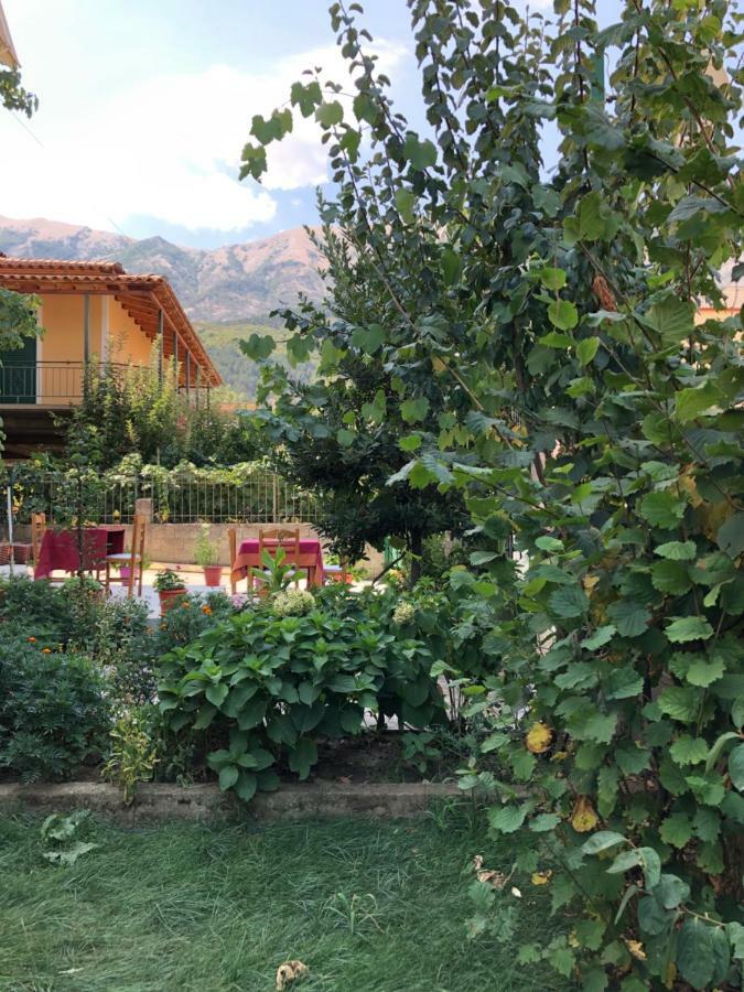 Hotel Villa Ago Përmet Exterior foto